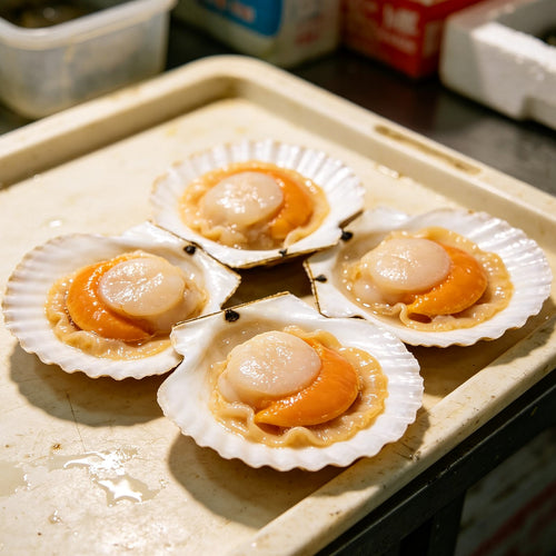 Frozen Half Shell Scallops with Roe