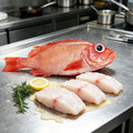 Frozen Whole Red Snapper Fillets